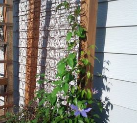 17 ways to build a gorgeous garden trellis, Lean old mattress springs on a garden wall