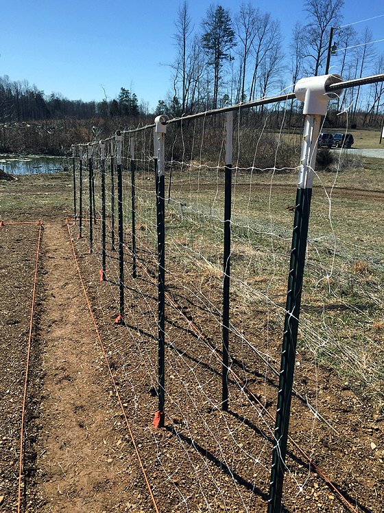 17 ways to build a gorgeous garden trellis, Use PVC pipes and rebar for tomatoes
