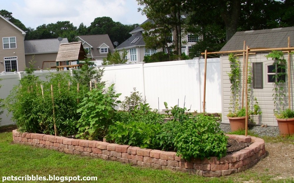 13 easiest ways to build a raised vegetable bed in your