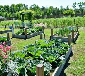 13 easiest ways to build a raised vegetable bed in your garden, Build low wood boxes with tall posts
