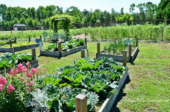 13 easiest ways to build a raised vegetable bed in your garden, Build low wood boxes with tall posts