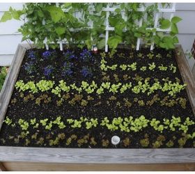13 easiest ways to build a raised vegetable bed in your garden, Make them even prettier with patterns