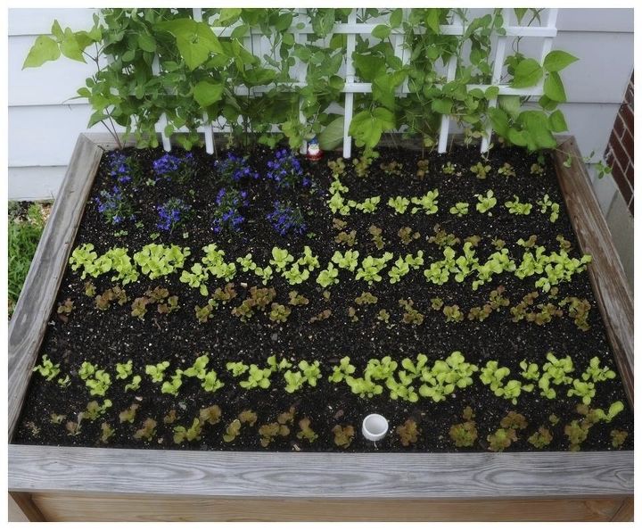 13 easiest ways to build a raised vegetable bed in your garden, Make them even prettier with patterns