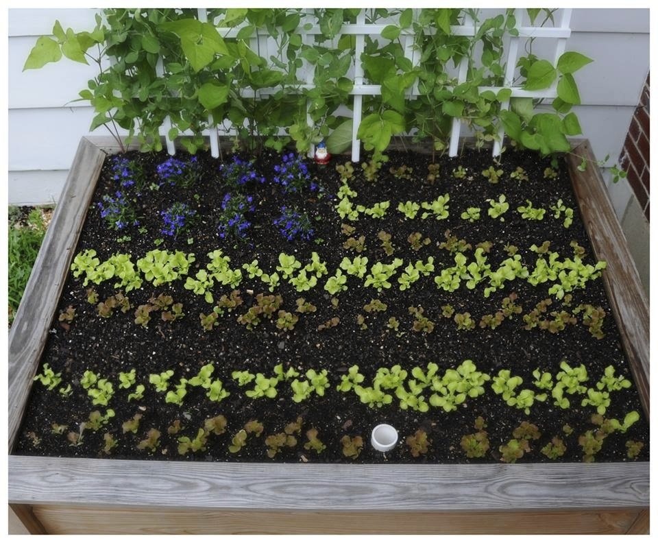 13 Easiest Ways to Build a Raised Vegetable Bed in Your ...