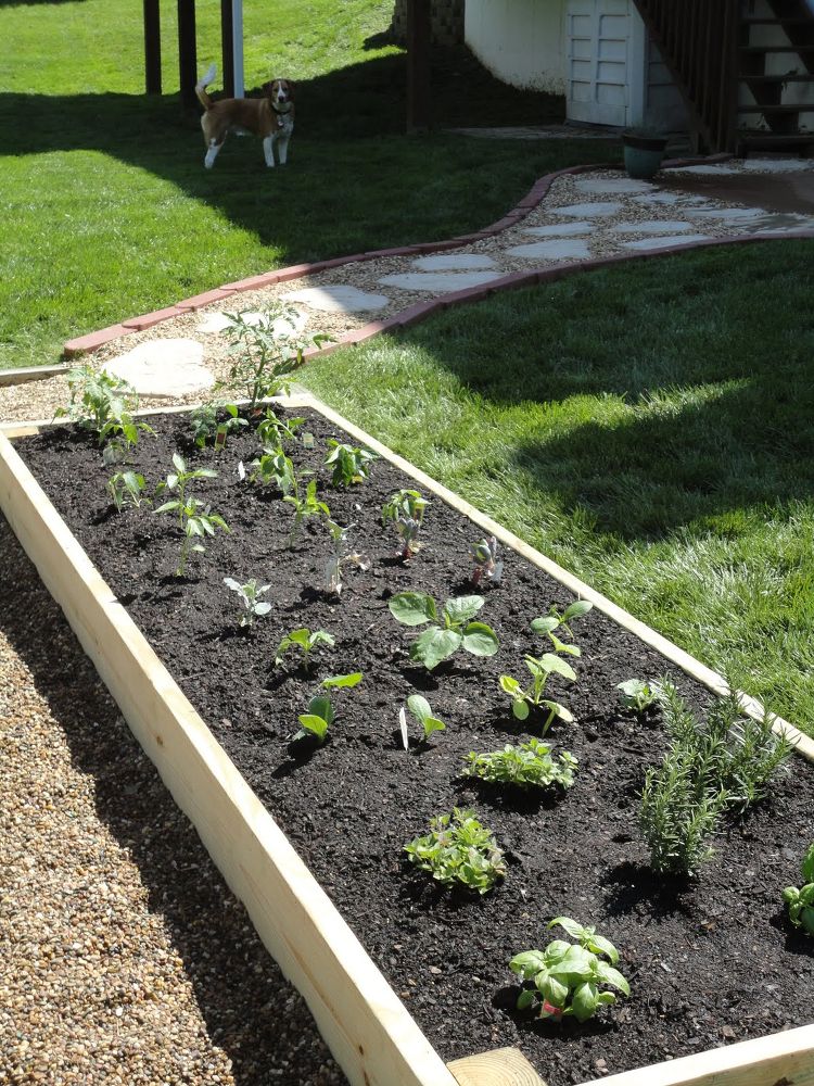 13 Easiest Ways to Build a Raised Vegetable Bed in Your
