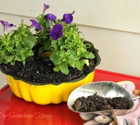 20 Low Maintenance Container Gardens for Beginners