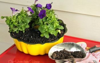 20 Low Maintenance Container Gardens for Beginners
