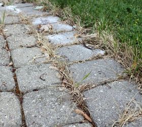 how to use salt to control weeds , gardening, how to, pest control