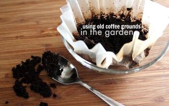  5 maneiras divertidas de usar a borra de café no jardim
