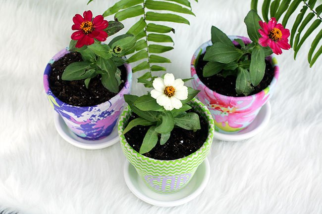 monogrammed summer pots, crafts, decoupage, outdoor living