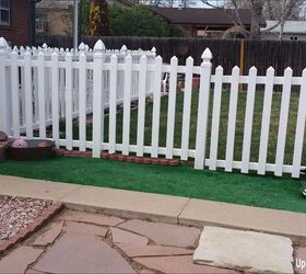 dirt patch to puppy patio easy diy, landscape, lawn care, pets, pets animals