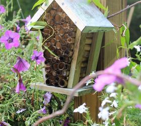 create your own bee garden, gardening, homesteading, outdoor living