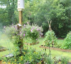 create your own bee garden, gardening, homesteading, outdoor living