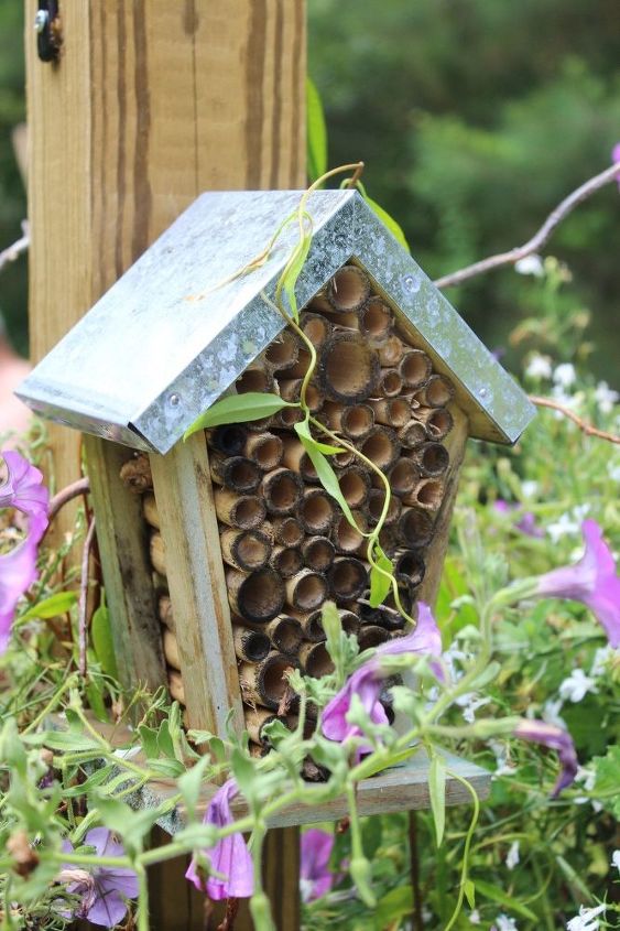 crea tu propio jardin de abejas