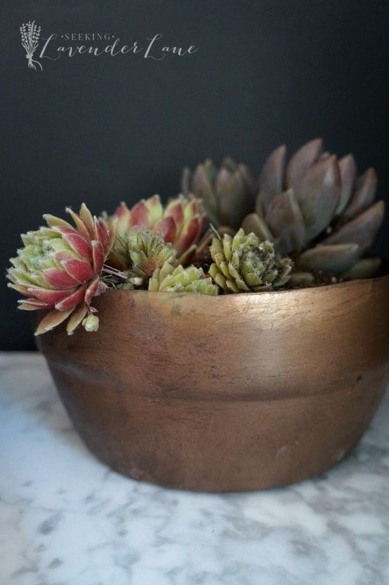 diy vintage copper pot, container gardening, crafts, gardening, repurposing upcycling, succulents