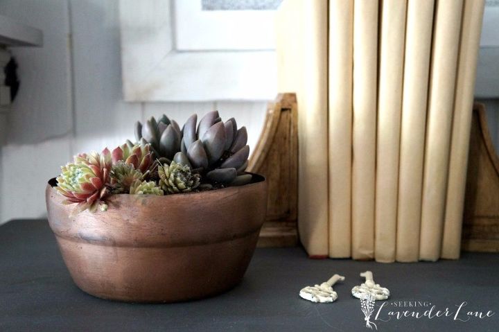 diy vintage copper pot, container gardening, crafts, gardening, repurposing upcycling, succulents