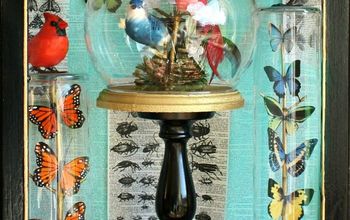 Pájaros y mariposas bajo vidrio