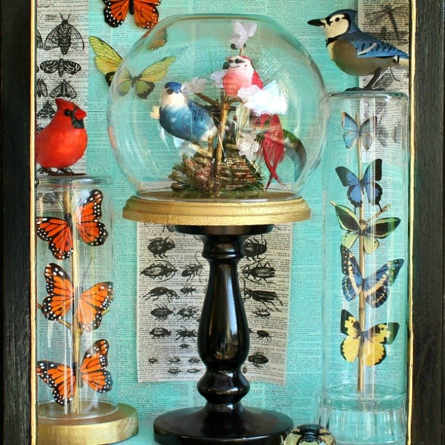 pssaros e borboletas sob o vidro