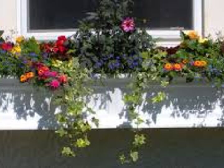 q how to i start growing herbs in a window box , container gardening, gardening, plant care