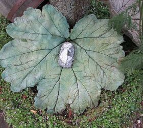 How to Cast a Cement Garden Leaf