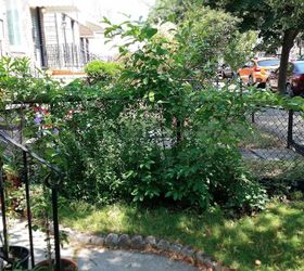easy diy fan trellis to spruce up your vines creepers, How large should your trellis be