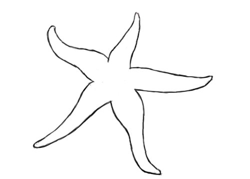estrella de mar con cinta de abalorios