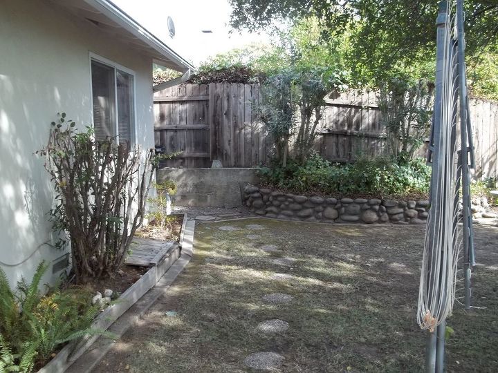 dog pee destroyed new sod, This is how the lawn area looked when we moved in