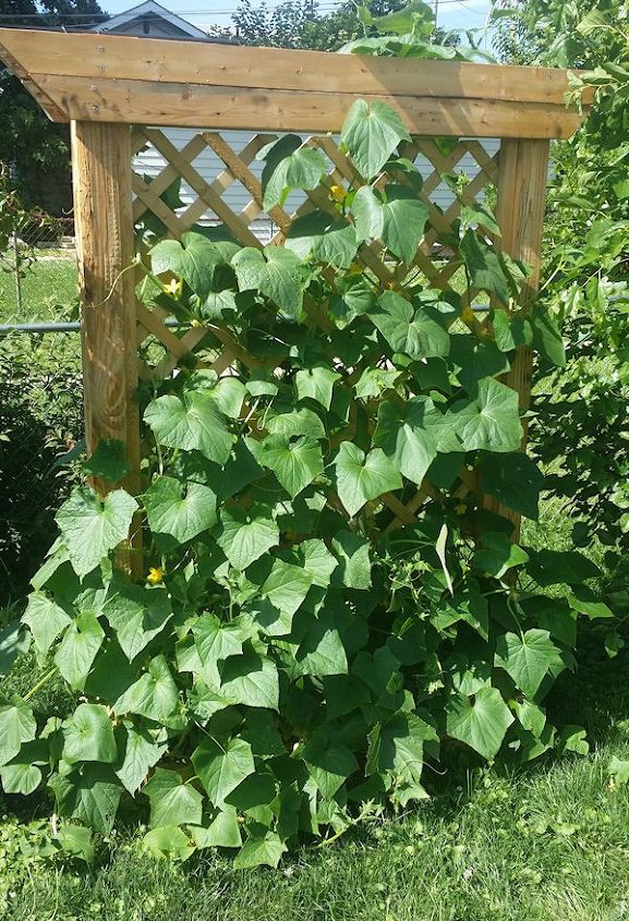 Building a Planter Box With a Trellis Hometalk Building a Planter Box With a Trellis Hometalk