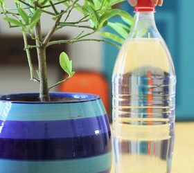 water your plants while you re away 