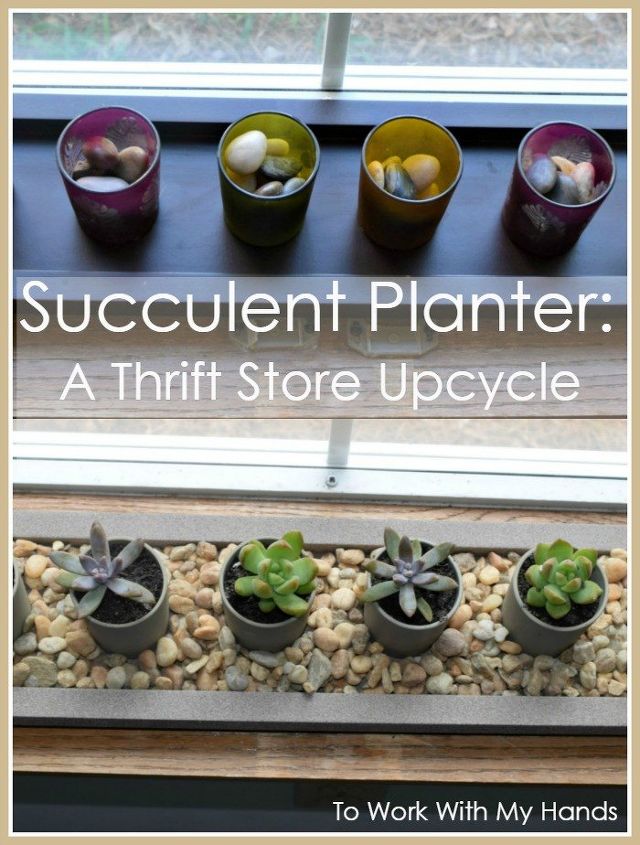 succulent planter a thrift store upcycle, container gardening, crafts, gardening, succulents