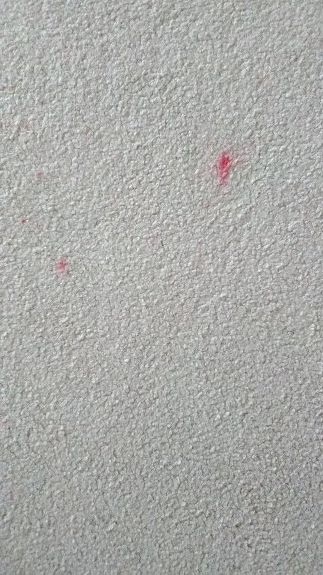I am looking for a way to get oil-based crayon off my white carpet! | Hometalk I am looking for a way to get oil-based crayon off my white carpet! | Hometalk