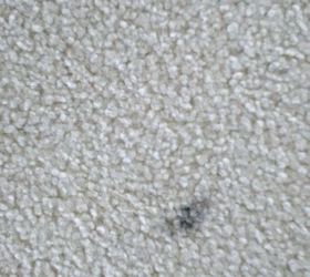 i am looking for a way to get oil based crayon off my white carpet