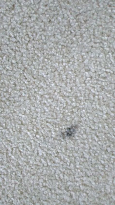 i am looking for a way to get oil based crayon off my white carpet