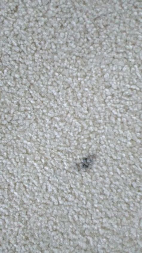 I am looking for a way to get oil-based crayon off my white carpet! | Hometalk I am looking for a way to get oil-based crayon off my white carpet! | Hometalk