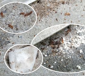 get rid of your ants with a sweet diy treat, Success Battlefield after Sweet Bait ambush
