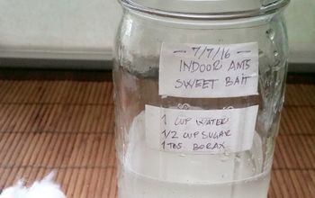 How to Get Rid of Ants With Borax & Sugar