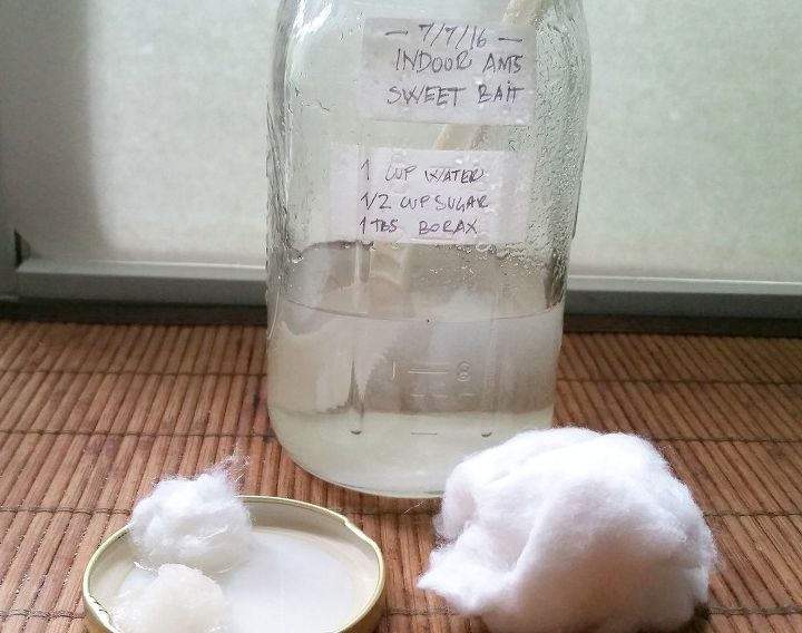 get rid of your ants with a sweet diy treat, Get your cotton balls or towels ready