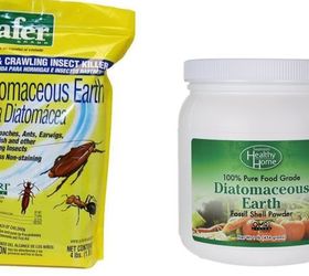 get rid of your ants with a sweet diy treat, Diatomaceous Earth to the Rescue