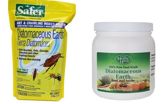 get rid of your ants with a sweet diy treat, Diatomaceous Earth to the Rescue
