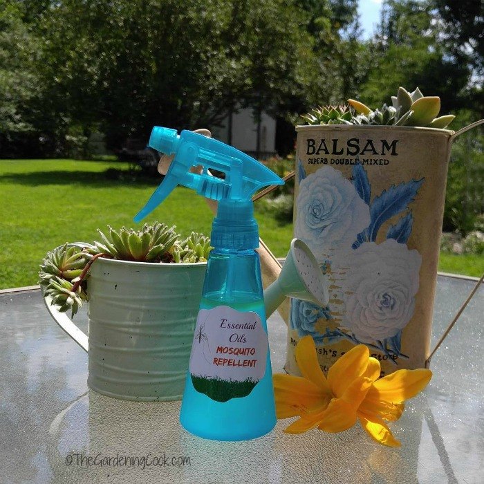 make your own insect repellent with essential oils, go green, outdoor living, pest control