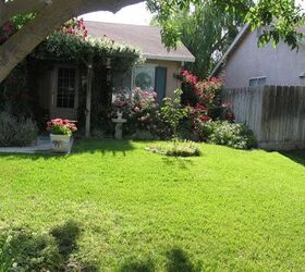 no lawn , curb appeal, gardening, lawn care, In the beginning there was lawn