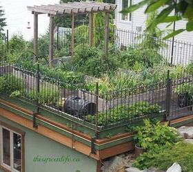 xeriscaped organic rooftop gardens, Rooftop Organic Garden