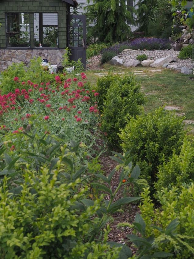 jardins orgnicos na cobertura, jardim medicinal