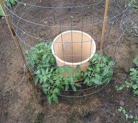 10 top trash can hacks of all time which one will you try, Poke a few holes in one for tomato watering