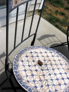 bottle cap mosaic chairs, crafts, outdoor furniture, painted furniture, repurposing upcycling, tiling