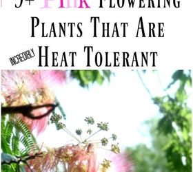 9 pink flowers for your yard that are incredibly heat tolerant, flowers, gardening, landscape