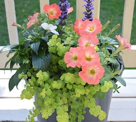 pretty planters, container gardening, flowers, gardening