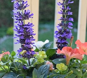 pretty planters, container gardening, flowers, gardening