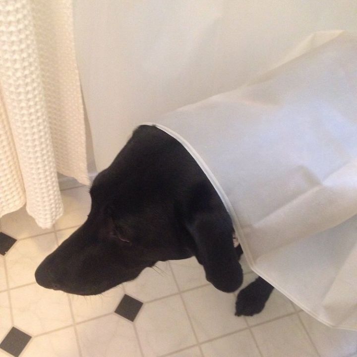 The Easiest Way To Clean Your Shower Curtain Liner Hometalk