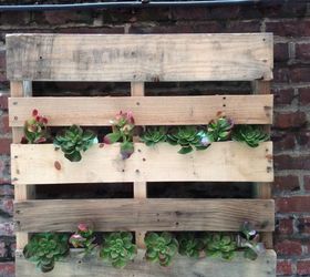 diy city patio, home decor, how to, outdoor living, painted furniture, pallet, patio, repurposing upcycling, succulents, tools, reupholster